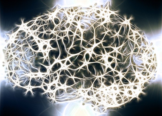 Maladie neuro degenerative